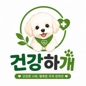 건강하개 연구소