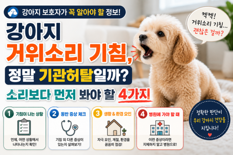 강아지 거위소리 기침, 정말 기관허탈일까 소리보다 먼저 봐야 할 4가지