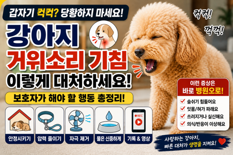 강아지 거위소리 기침할 때 대처법, 갑자기 컥컥거린다면 이렇게 하세요