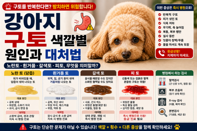 강아지 구토 색깔별 원인, 노란토·흰거품·갈색토·피토 대처법
