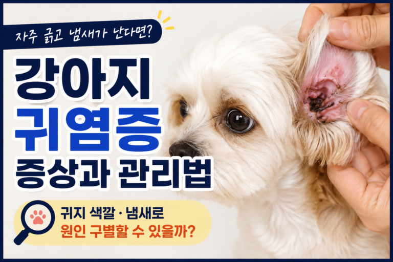 강아지 귀 염증 증상, 귀지 색깔·냄새로 구별할 수 있을까?