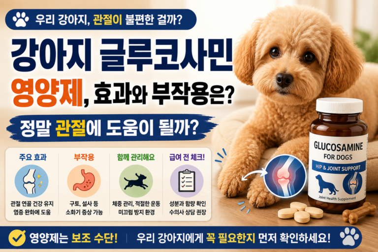 강아지 글루코사민 영양제, 효과와 부작용은 정말 관절에 도움이 될까