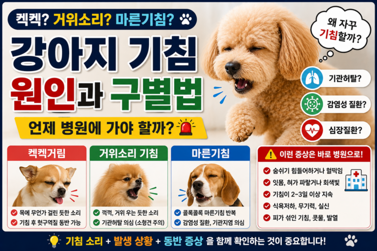 강아지 기침 원인, 켁켁·거위소리·마른기침 구별하는 법