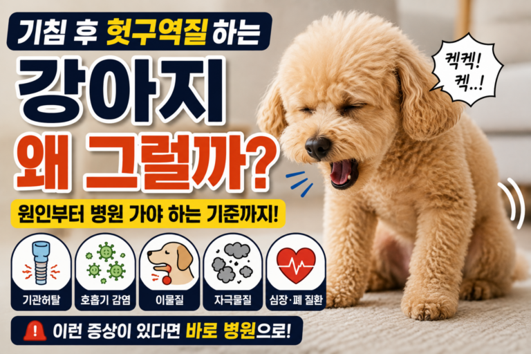 강아지 기침 후 헛구역질하는 이유, 토하려는 걸까 원인과 병원 가야 하는 기준