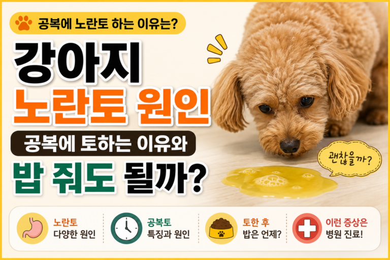 강아지 노란토 원인, 공복에 토하는 이유와 밥 줘도 될까