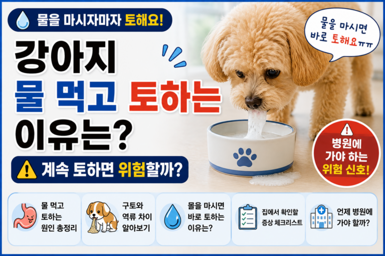 강아지 물 먹고 토하는 이유, 계속 토하면 위험할까
