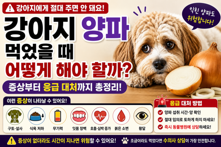 강아지 양파 먹었을 때 어떻게 해야 할까 증상부터 응급 대처까지 총정리