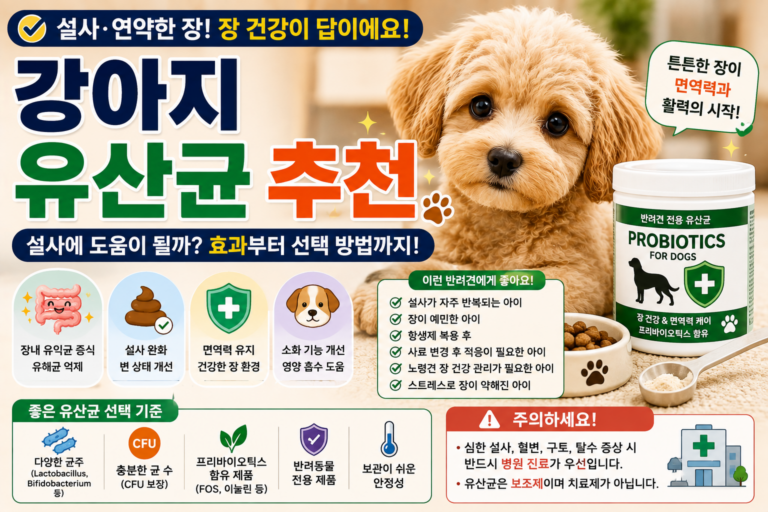 강아지 유산균 추천은 설사에 도움이 될까 효과부터 선택 방법까지 총정리