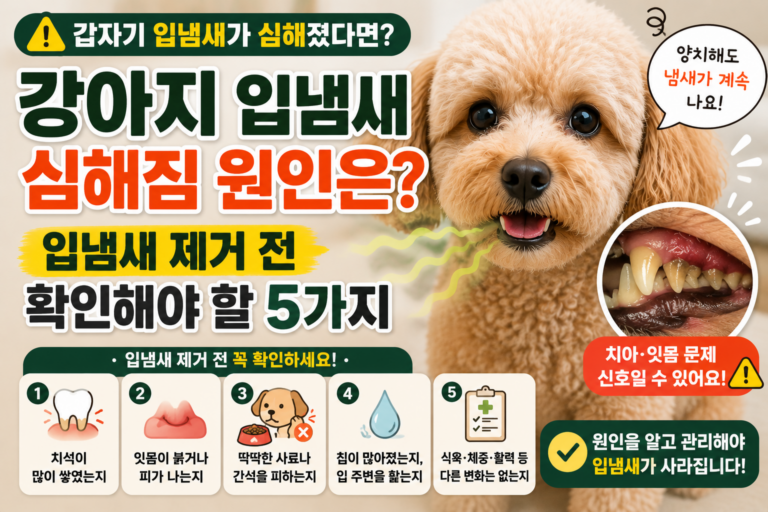 강아지 입냄새 심해짐 원인은 입냄새 제거 전 확인해야 할 5가지