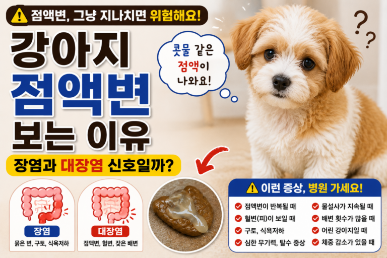강아지 점액변 보는 이유, 장염과 대장염 신호일까