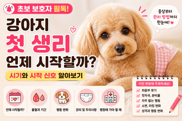 강아지 첫 생리 언제 시작할까 시기와 시작 신호 알아보기