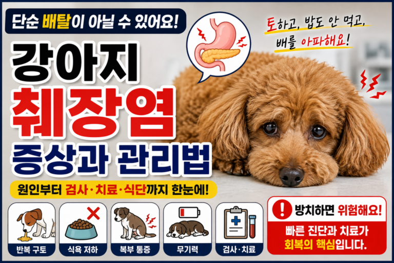 강아지 췌장염 증상, 단순 배탈과 어떻게 다를까 원인부터 검사·치료·식단 관리까지