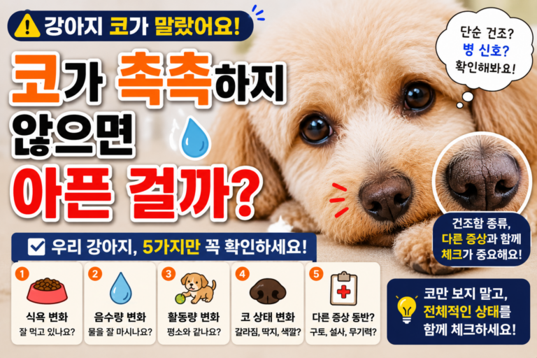 강아지 코가 말랐어요, 코가 촉촉하지 않으면 아픈 걸까