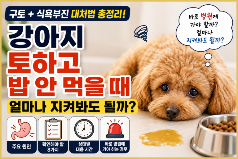 강아지 토하고 밥 안 먹을 때 얼마나 지켜봐도 될까 병원 가야 하는 기준