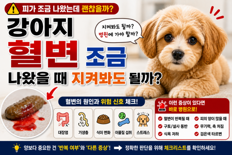 강아지 혈변 조금 나왔을 때 지켜봐도 될까 병원 가야 하는 기준