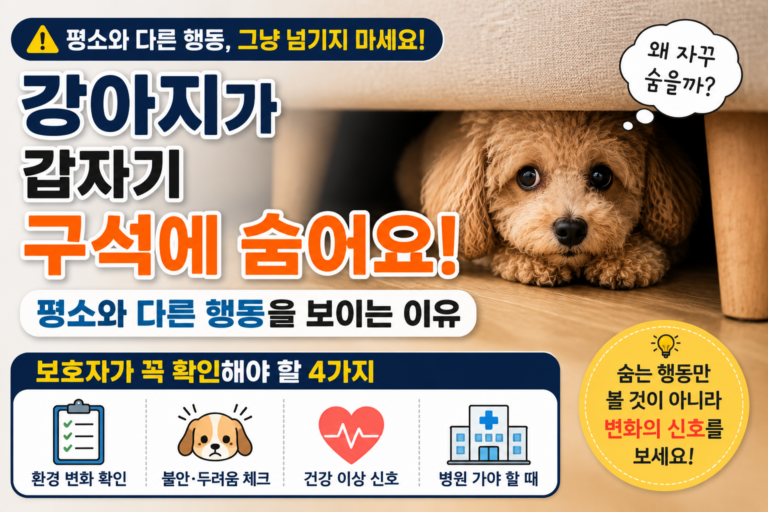 강아지가 갑자기 구석에 숨어요, 평소와 다른 행동을 보이는 이유