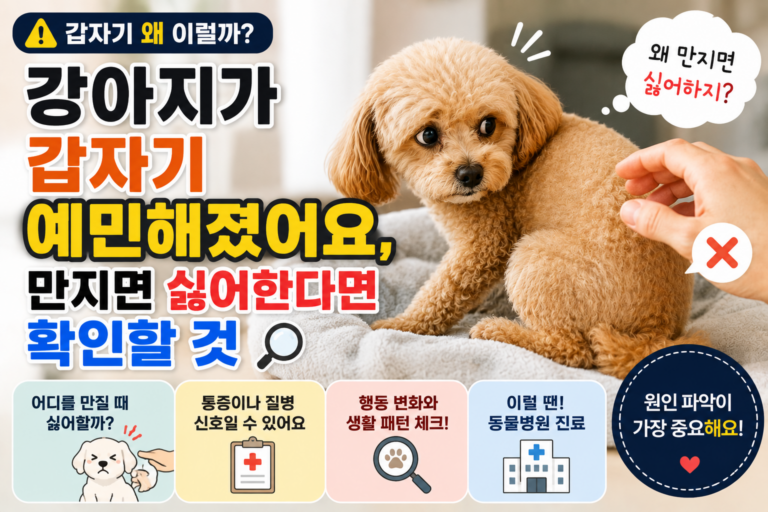 강아지가 갑자기 예민해졌어요, 만지면 싫어한다면 확인할 것