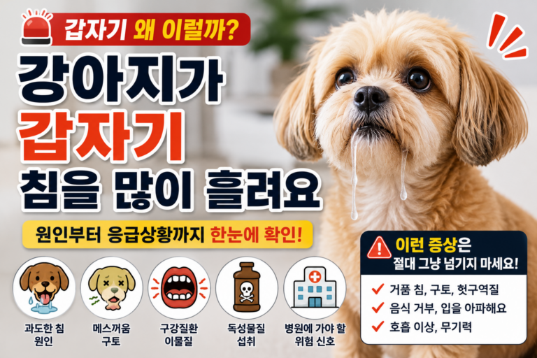 강아지가 갑자기 침을 많이 흘려요, 원인부터 위험 신호까지 확인하세요