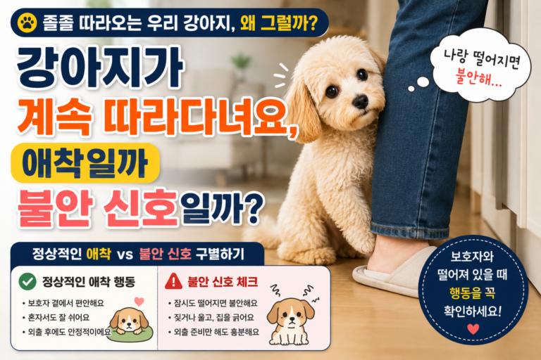 강아지가 계속 따라다녀요, 애착일까 불안 신호일까