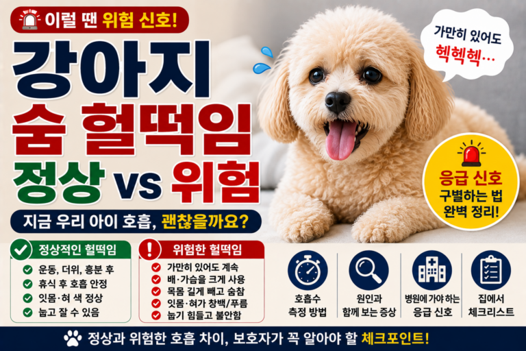 강아지가 숨을 헐떡일 때, 정상과 위험한 호흡 구별하는 방법