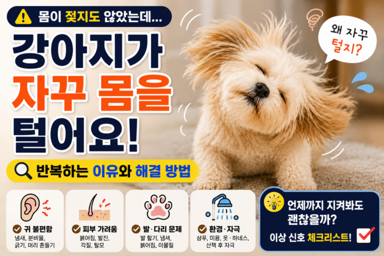강아지가 자꾸 몸을 털어요, 목욕하지 않았는데 반복하는 이유