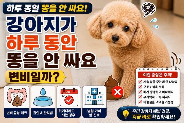 강아지가 하루 동안 똥을 안 싸요, 변비일까 기다려도 되는 경우와 병원 가야 할 신호