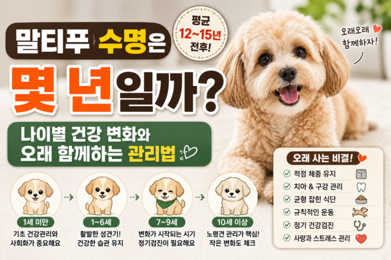 말티푸 수명은 몇 년일까 나이별 건강 변화와 오래 함께하기 위한 관리법
