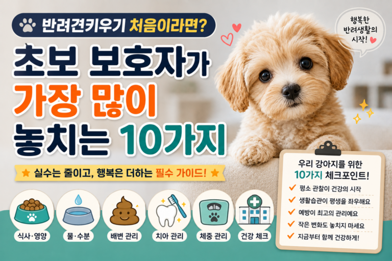 반려견키우기 처음이라면 초보 보호자가 가장 많이 놓치는 10가지