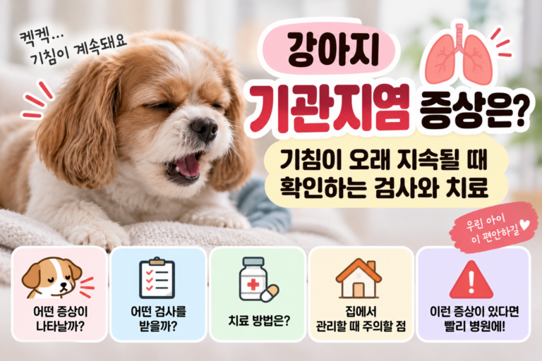 강아지 기관지염 증상은? 기침이 오래 지속될 때 확인하는 검사와 치료