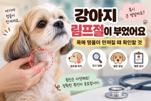 강아지 림프절이 부었어요, 목에 멍울이 만져질 때 확인할 것