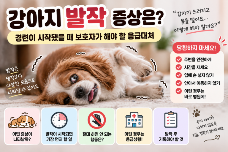 강아지 발작 증상은? 경련이 시작됐을 때 보호자가 해야 할 응급대처