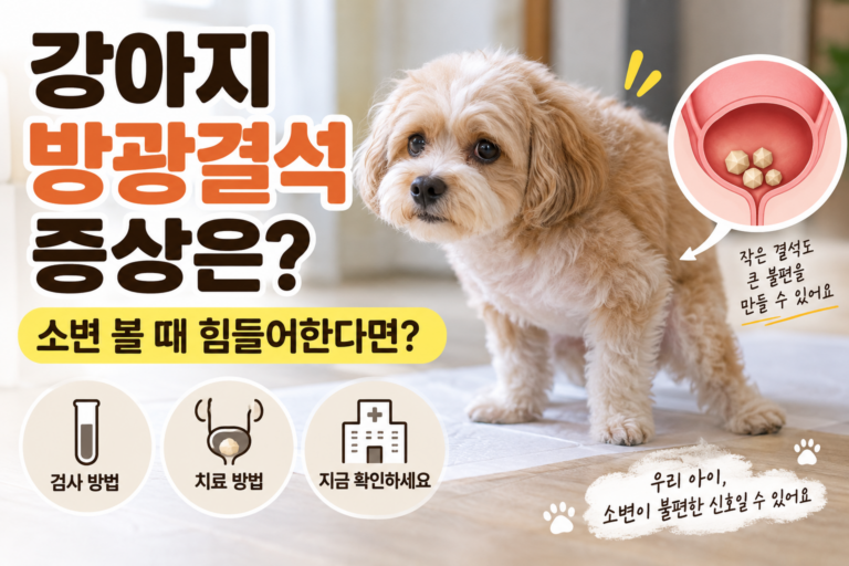 강아지 방광결석 증상, 소변 볼 때 힘들어한다면 검사와 치료 방법