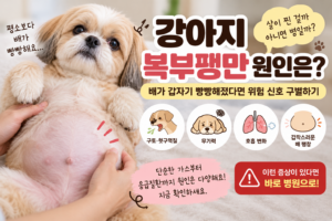 강아지 복부팽만 원인은 배가 갑자기 빵빵해졌다면 위험 신호 구별하기