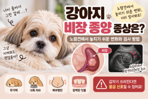 강아지 비장 종양 증상은 노령견에서 놓치기 쉬운 변화와 검사 방법
