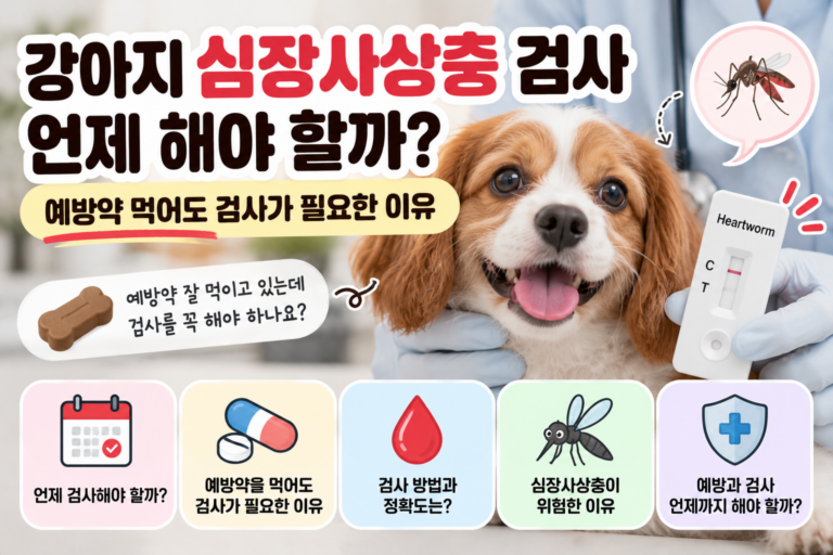 강아지 심장사상충 검사 언제 해야 할까? 예방약 먹어도 검사가 필요한 이유