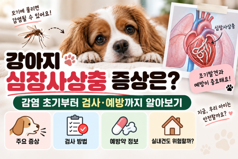 강아지 심장사상충 증상은? 감염 초기부터 검사·예방까지 알아보기
