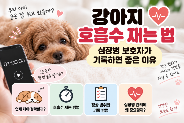 강아지 호흡수 재는 법, 심장병 보호자가 기록하면 좋은 이유
