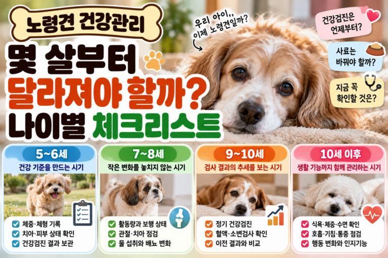 노령견 건강관리, 몇 살부터 달라져야 할까? 나이별 체크리스트