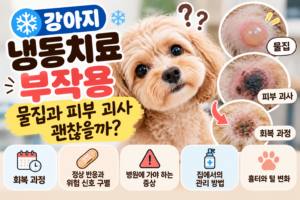 강아지 냉동치료 부작용, 물집과 피부 괴사 괜찮을까? 위험 신호 구별법