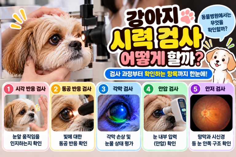 강아지 시력 검사 어떻게 할까? 동물병원에서는 무엇을 확인할까?