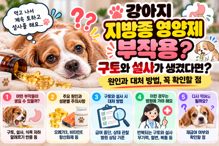 강아지 지방종 영양제 부작용, 구토와 설사가 생겼다면?