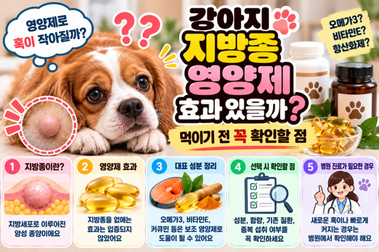 강아지 지방종 영양제 효과 있을까? 먹이기 전 확인할 점