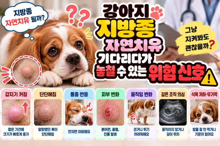 강아지 지방종 자연치유 기다리다가 놓칠 수 있는 위험 신호 7가지