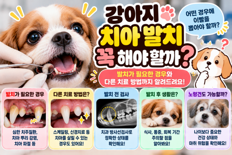 강아지 치아 발치 꼭 해야 할까? 이빨을 뽑아야 하는 경우