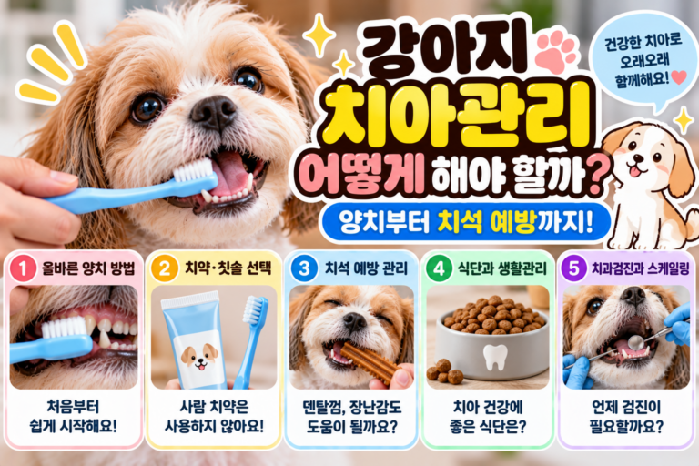 강아지 치아관리 어떻게 해야 할까? 양치부터 치석 예방까지