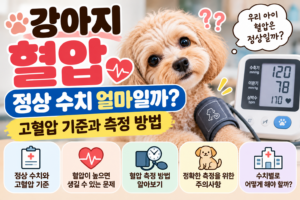 강아지 혈압 정상 수치 얼마일까? 고혈압 기준과 측정 방법